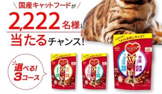 【毎日応募】日本ペットフード ビューティープロ キャット Wケアが2,222名にその場で当たる