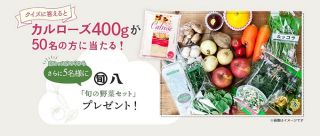 カルローズ 400g / 旬の野菜セットが抽選で55名に当たる