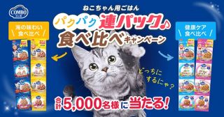 日本ペットフード コンボ キャット 連パック2種セットが抽選で​合計5,000名に当たる