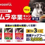 えらべる3コース 国産ドッグフードが抽選で総計3,000名に当たる
