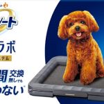 デオシート消臭ラボレギュラー/ワイドサイズ本体セットが抽選で10,000名に当たる
