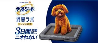 デオシート消臭ラボレギュラー/ワイドサイズ本体セットが抽選で10,000名に当たる