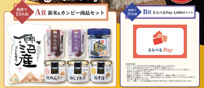 カンピー公式Xで新米 魚沼産コシヒカリ 5kg / えらべるPay 3,000ポイントが抽選で30名に当たる