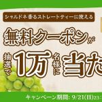 【予告 9/12 11:00～】ファミリーマート公式Xでシャルドネ香るストレートティーの無料クーポンが抽選で10,000名に当たる