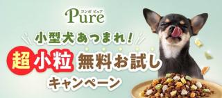 日本ペットフード コンボ ピュア ドッグ 超小粒無料お試しキャンペーンでコンボ ピュア ドッグ 超小粒 150gが抽選で5,000名に当たる