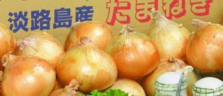 レコレール公式Xで淡路島の玉ねぎ 3kgが抽選で40名に当たる