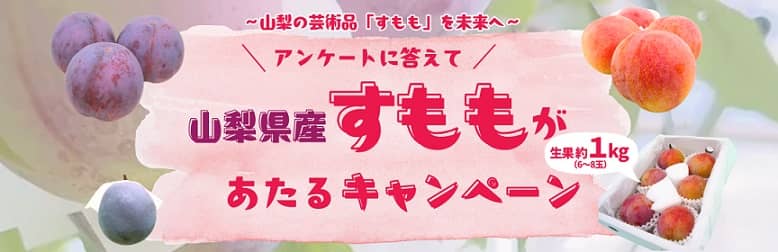 ニッポンエール 山梨県産すもも 生果約1kgが抽選で100名に当たる