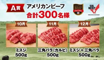 【毎日応募】米国食肉輸出連合会 アメリカンビーフ / オリジナルシートまな板が3,300名にその場で当たる