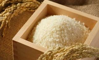 令和6年産 福島県産 天のつぶ 玄米が5kgあたり3,000円で販売中