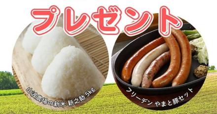 日本GAP協会公式Instagramで新之助 5kg / やまと豚セットが抽選で60名に当たる