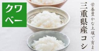 令和6年産 三重県産 コシヒカリ 金印 5kgが3,687円で販売中