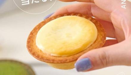 BAKE CHEESE TART公式Xで冷凍チーズタルト6P BOX 5点が抽選で50名に当たる