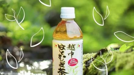 ライフドリンク カンパニー公式Instagramで越中はとむぎ茶 24本が抽選で50名に当たる