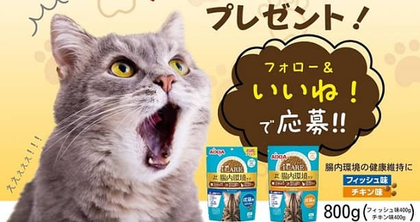 AIXIAにゃんちゅーぶ公式Instagramで先着2,222名にi CARE キャットドライ計800gが貰える