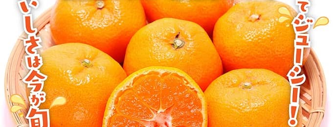 JA静岡経済連公式Instagramで静岡みかん 5kgが抽選で30名に当たる