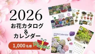 PW 2026年カタログ＆カレンダーが抽選で1,000名に当たる