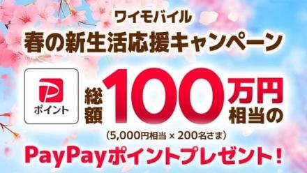 【毎日応募】PayPayポイント 2,000円相当が200名にその場で当たる
