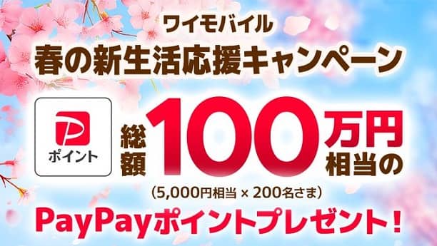 【毎日応募】PayPayポイント 2,000円相当が200名にその場で当たる