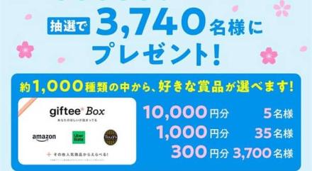 【毎日応募】giftee Box 最大10,000円分が抽選で3,740名にその場で当たる