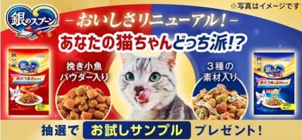 銀のスプーン 試供品4連パックが抽選で1,000名に当たる