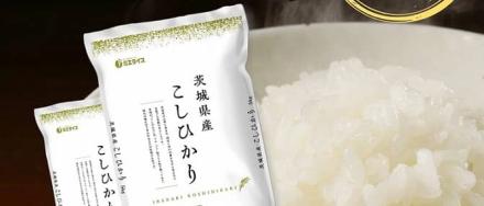 【在庫復活】茨城県産 こしひかり 10kg 令和7年産 6,380円