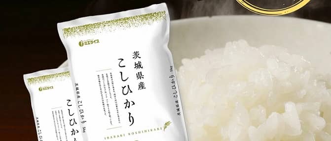 【在庫復活】茨城県産 こしひかり 10kg 令和7年産 6,380円