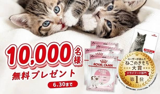 ロイヤルカナン 子猫用ギフトボックスが抽選で1万名に当たる
