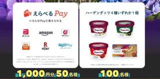 えらべるPay 1,000円分 / ハーゲンダッツ4種いずれか1個が抽選で150名に当たる