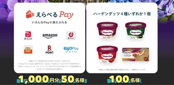 えらべるPay 1,000円分 / ハーゲンダッツ4種いずれか1個が抽選で150名に当たる