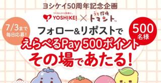 【毎日応募】えらべるPay 500ポイントが500名にその場で当たる