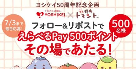 【毎日応募】えらべるPay 500ポイントが500名にその場で当たる
