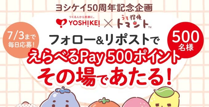 【毎日応募】えらべるPay 500ポイントが500名にその場で当たる