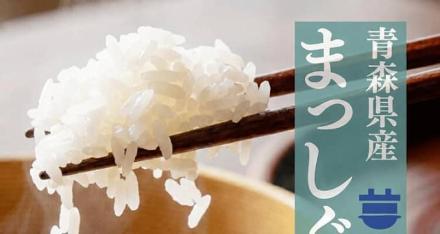 令和7年産 青森県産 まっしぐら 10kg 6,120円