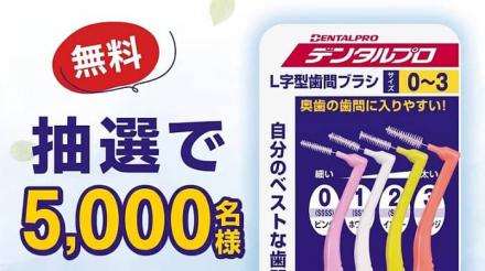 デンタルプロ L字歯間ブラシ お試しサンプルセットが抽選で5,000名に当たる