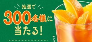 モスバーガー オレンジ&パッションフルーツティー デジタルギフトが抽選で300名に当たる