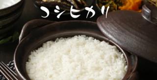 【5kg 2,390円】新米 令和8年産 高知県産 コシヒカリ 10kgが4,780円