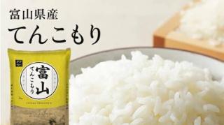 令和7年産 富山県産てんこもり 特A 5kg 2,312円
