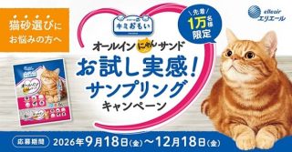 先着1万名に「エリエールPet キミおもい オールインにゃんサンド」が貰える