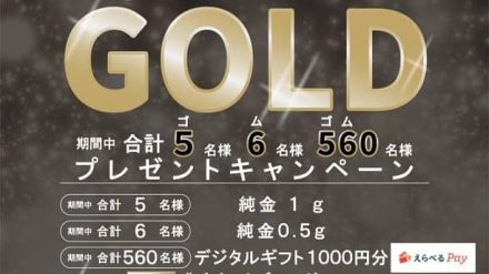 【毎日応募】えらべるPay 1,000円分などが抽選で合計571名にその場で当たる