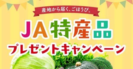 JA特産品 5,000円相当 / ニッポンエールご当地グミ10袋詰め合わせが抽選で合計500名に当たる