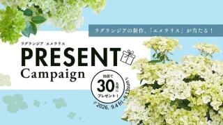 セロシア・ガーデンマムセット / ラグランジア エメラリスが抽選で合計60名に当たる