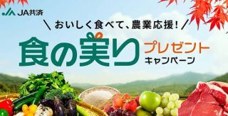 マスクメロン / 宮崎牛 / 富山米食べ比べセットが抽選で合計300名に当たる